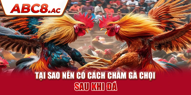 tai-sao-nen-co-cach-cham-ga-choi-sau-khi-da