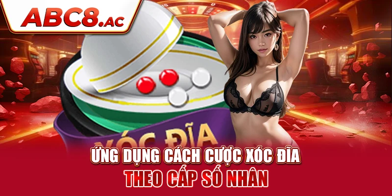 ung-dung-cach-cuoc-xoc-dia-theo-cap-so-nhan