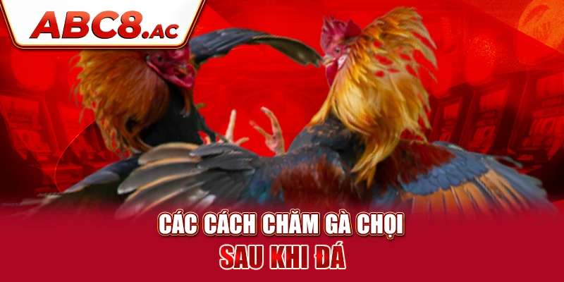 cac-cach-cham-ga-choi-sau-khi-da