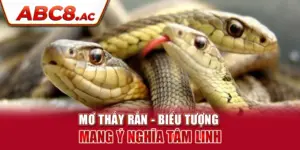 mo-thay-ran-bieu-tuong-mang-y-nghia-tam-linh