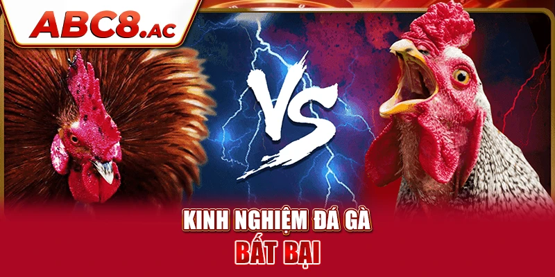 kinh-nghiem-da-ga-abc8-bat-bai