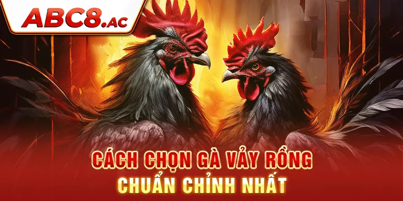 cach-chon-ga-vay-rong-chuan-chinh-nhat